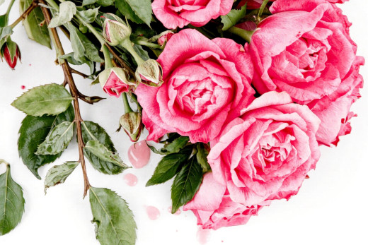 �1761329 �������(a): ����������:1920x1280